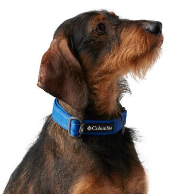 Columbia Silver Ridge Dog Collar-