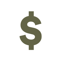 Icon of a green money symbol