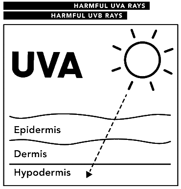 UVA and UVB technical illustration.