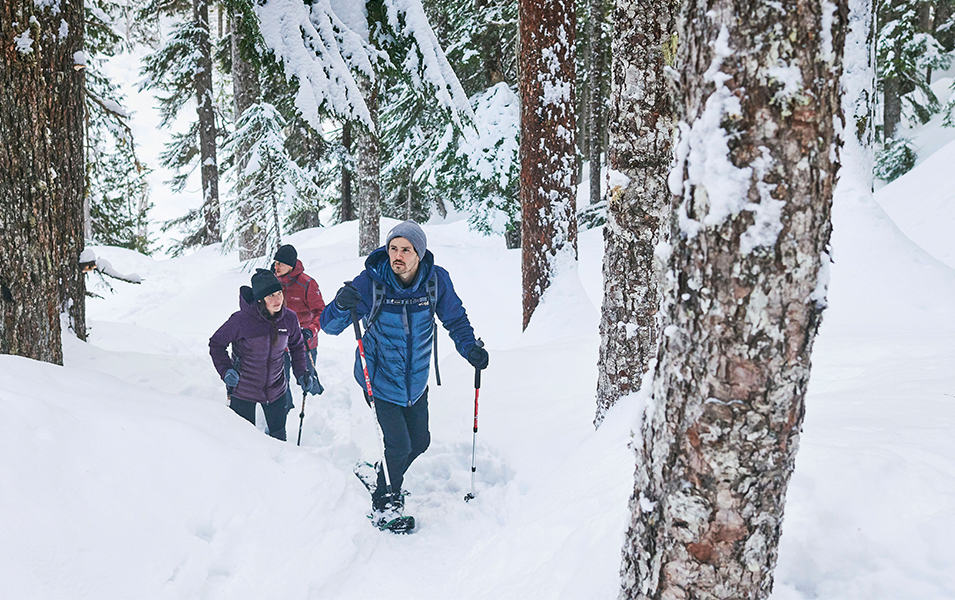 Three people snowshoeing in a forest. 
