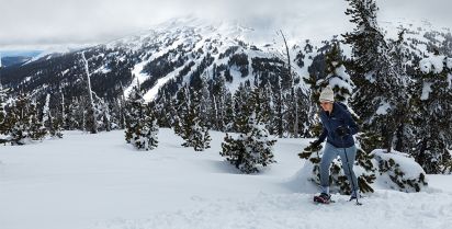 Snowshoe mountain jacket columbia best sale
