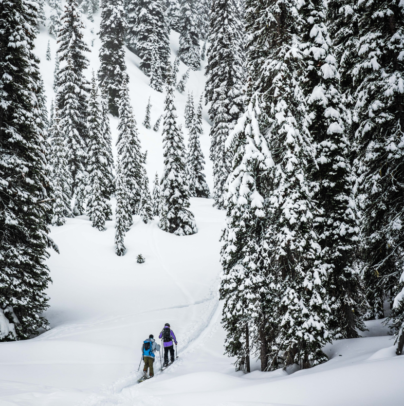 Skiing in the backcountry.