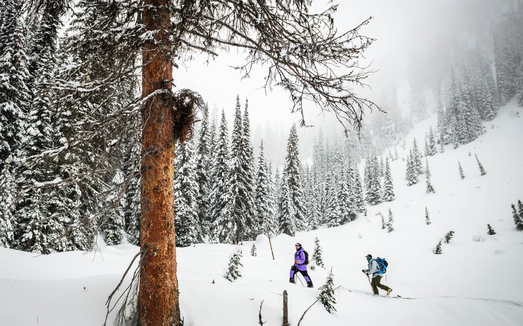 Hank Sowers and Director Ryan-Paul Collins making their own way through snow in the backcountry.