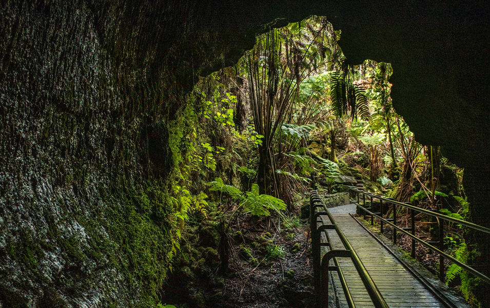 A scenic wooden trail with rails on the sides passes through a dark cave in Volcanoes National Park with lush green foliage on the other side.
