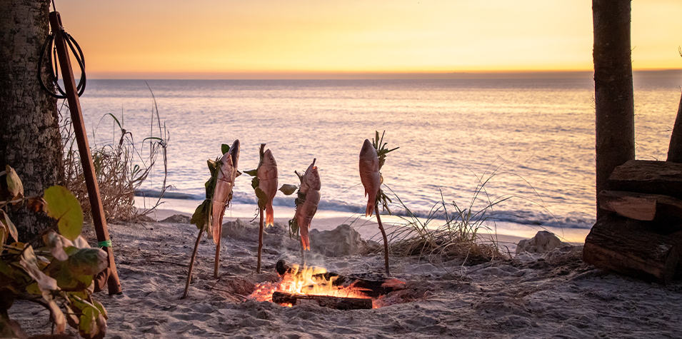 Fish on sticks being cooked near an open fire on a beach at sunset.