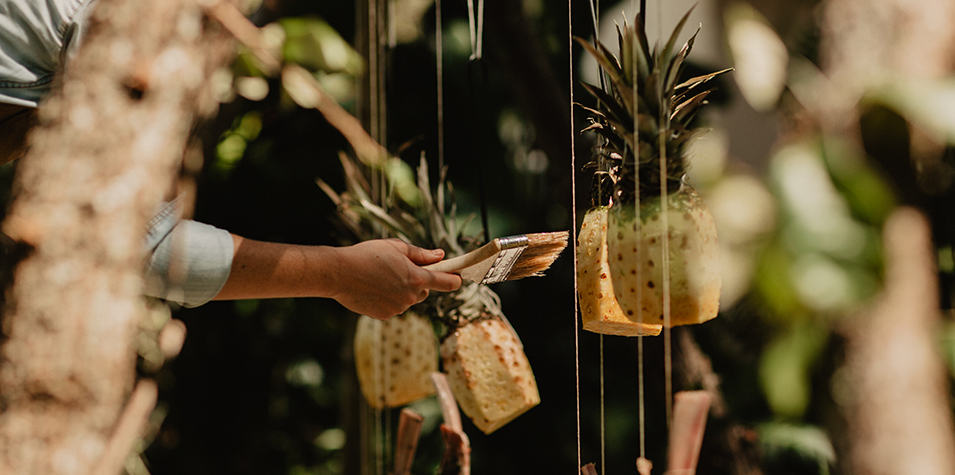 A hand basting pineapples hanging from strings while being smoked.