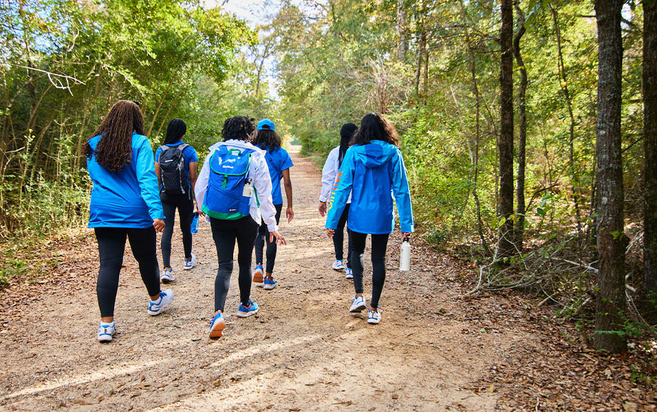 A photo showing the backs of six women in blue and white jackets walking along a trail with leafy green trees on each side.