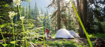 Camping in the mountains.