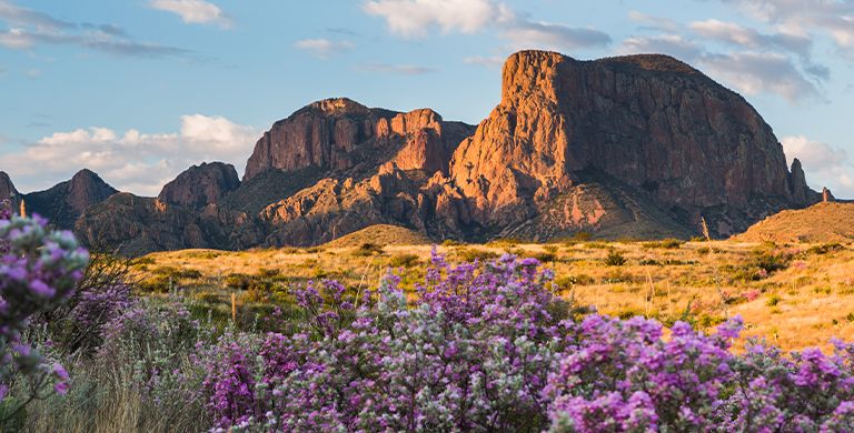 Whether it’s spring break or a family vacation, these are the best national parks for your adventure.