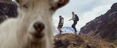 Two hikers walk across a rocky trail as a mountain goat stares at the camera in the foreground. 
