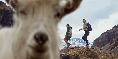 Goat running shoes sale