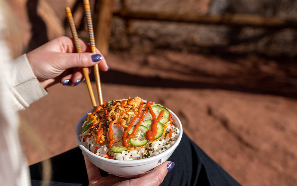 A pair of chopsticks hover over a bowl of Asian rice and vegetables. 