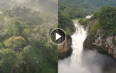 A screenshot of Columbia Sportswear's "Protect Our Roots Earth Day 2023" video link.