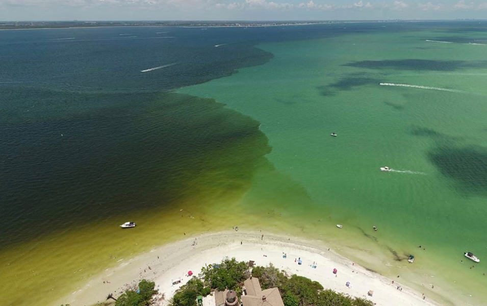  An aerial shot of a beach in Florida with murky water on one side. 