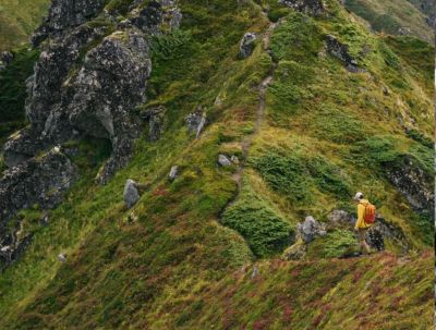 A hiker on the trail in a very green mountainside.