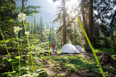 Camping in a pretty wildflower filled meadow in the mountains.