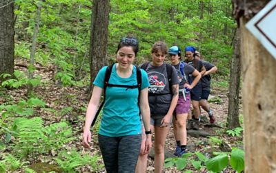 Group of people hiking along a forest trail. 