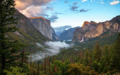 Yosemite National Park is rich with trees, granite rock walls and gushing waterfalls. 