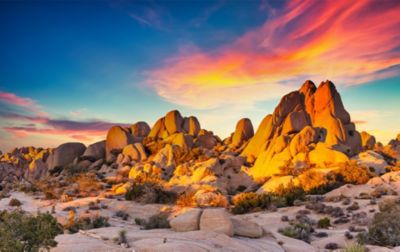 Giant boulders dot the desert landscape in Joshua Tree National Park as the sun sets in the background.  