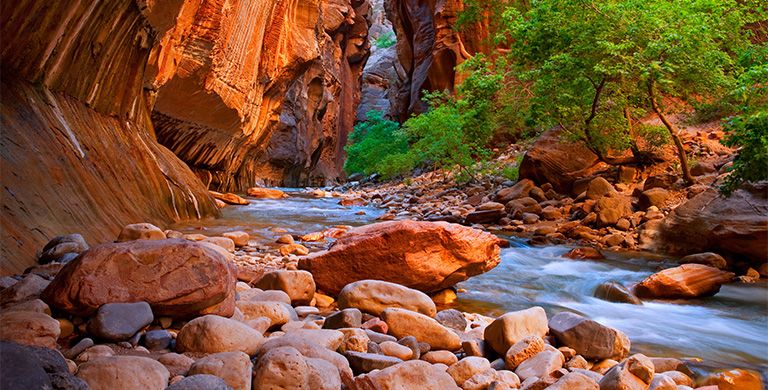 Can’t get reservations? Don’t cancel the trip, cancel the rules. Check out Columbia's subversive guide to outdoor travel.