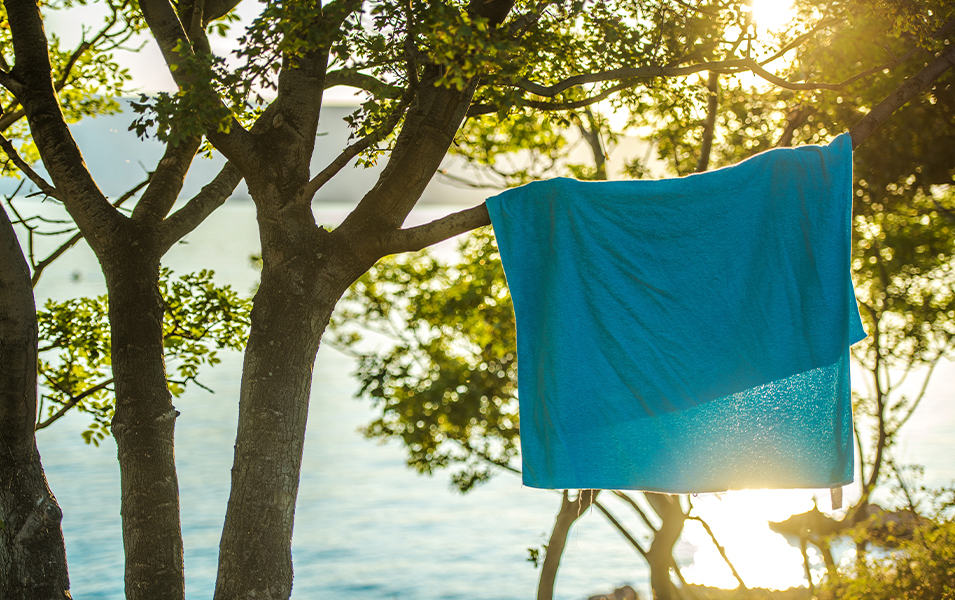 A blue camping towel hangs in the sunlight from a tree with a scenic lake in the background.