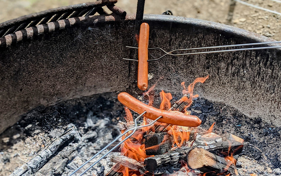 Hot dogs being cooked over fire pit. 