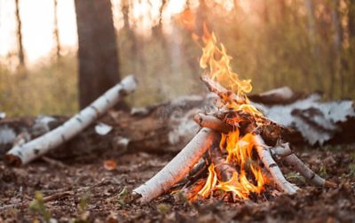 A tipi-style campfire made of white birch burns brightly in the late afternoon. 