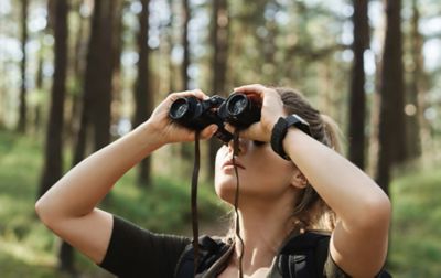 A woman with binoculars gazes up to the tops of trees in hopes of seeing a bird.