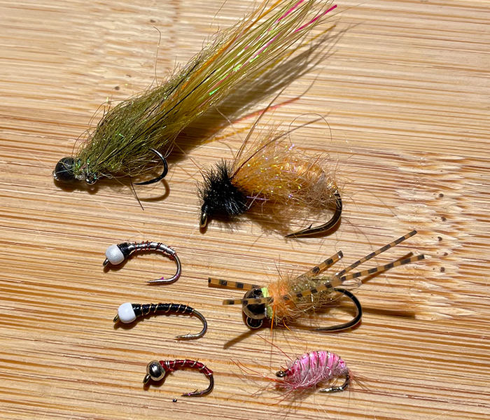 Close up of a variety of October Caddis fishing flies. 