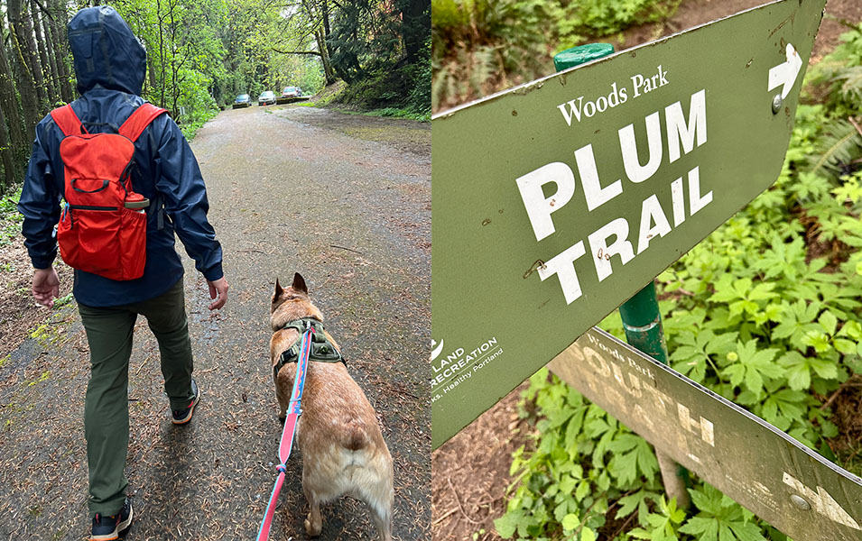 On the left, a man hikes away from the camera with his dog; on the right, a sign that reads “Plum Trail” is pictured surrounded by green foliage.  