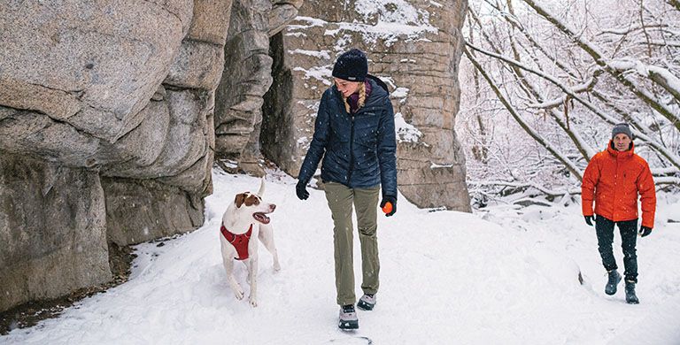 Introduce your dog to the joys of hiking with Columbia’s tips for hiking with your dog.