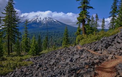 A snow-covered volcanic peak rises above a forest of pine and fir.