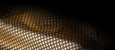 Omni-Heat Infinity gold pattern