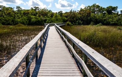 A wide, wooden footpath with side rails stretches across a muddy expanse of marsh.