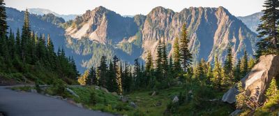 Pine trees and a grassy meadow line a narrow, windy road. In the background is a steep, crenellated mountain range. 

