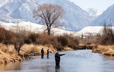 Three people fly fishing in a river. 