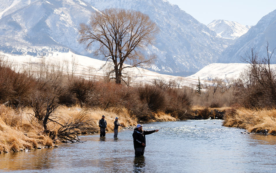 Three people fly fishing in a river. 