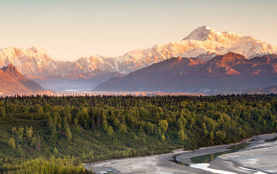 Towering mountains are pictured behind a lush green forest at Denali National Park in Alaska.  

 