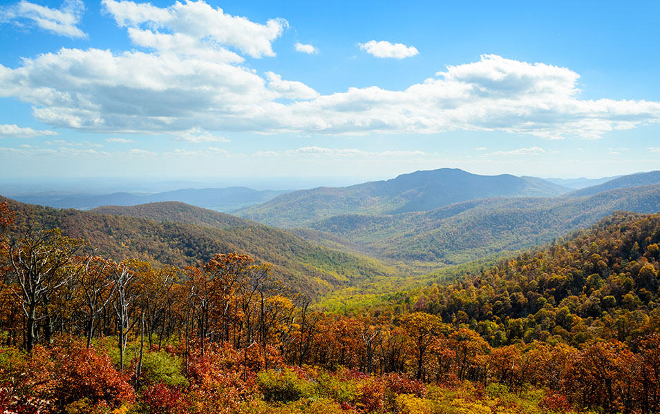 A valley of green trees mixed with beautiful fall foliage is pictured at Shenandoah National Park. 