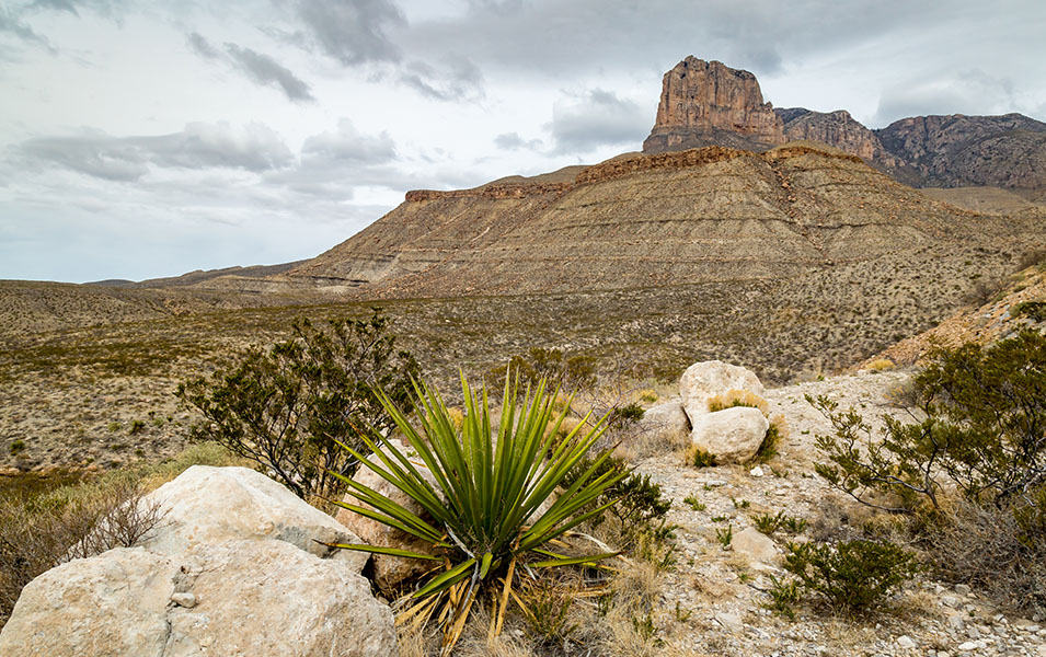 A rolling desert landscape is pictured at Guadalupe Mountains National Park in Texas. 