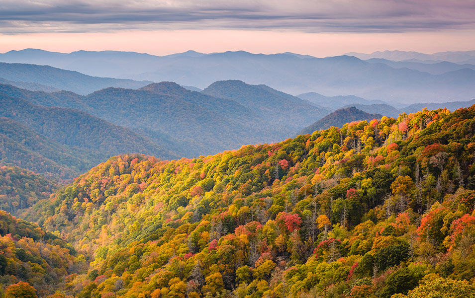 Lush forests boasting orange, red, green, and yellow foliage roll into the distance at Great Smoky Mountains National Park. 