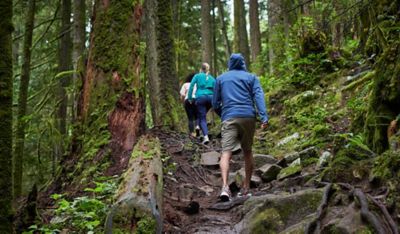 Three friends hiking in a forest.