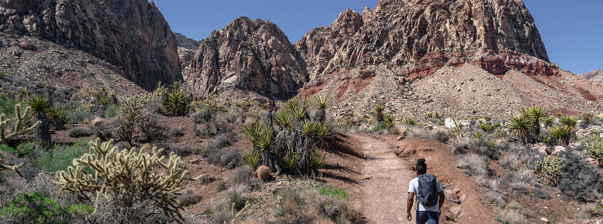 Caleb hiking on his way to a bouldering problem in southeastern Utah.