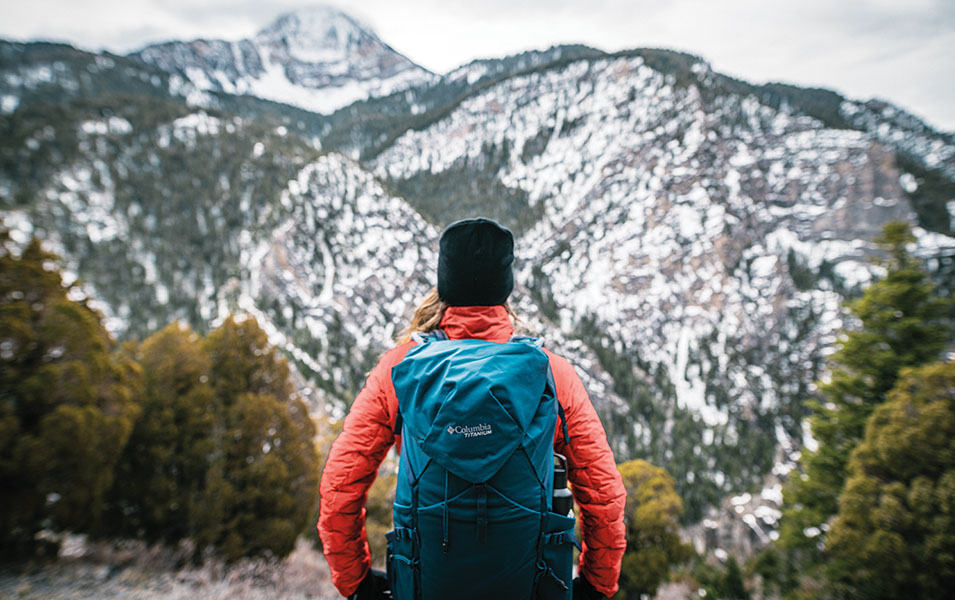 Person wearing a backpack facing mountainous landscape. 