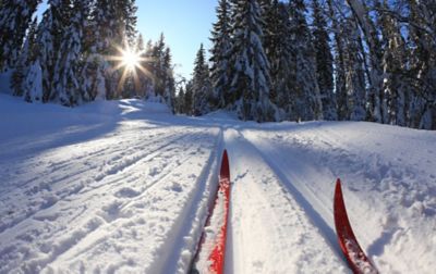 How to cross-country ski