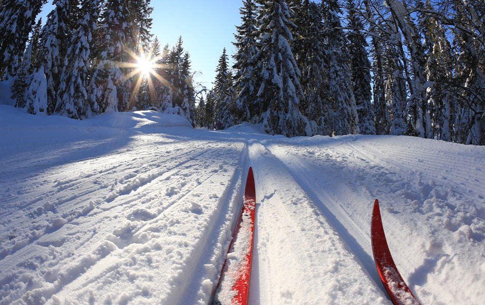 A photo of a gorgeous ski trail in the sunlight with a pair of red cross country skis in the foreground. 
