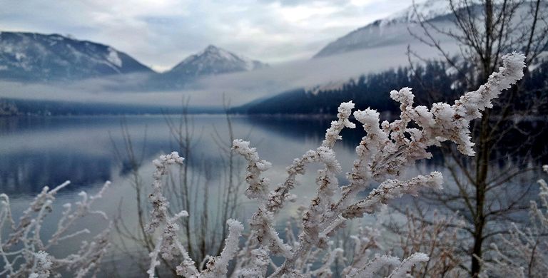 Moose Creek Idaho (A Backcountry Wilderness Adventure) - Great Escapes  Journal