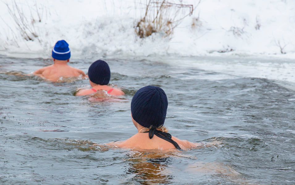 A group of cold plunging aficionados swim in frigid-looking water surrounded by snow. 
