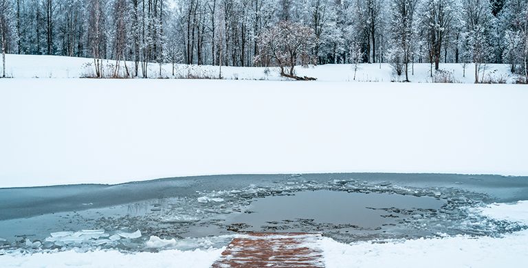 Should You Cold Plunge in the Winter