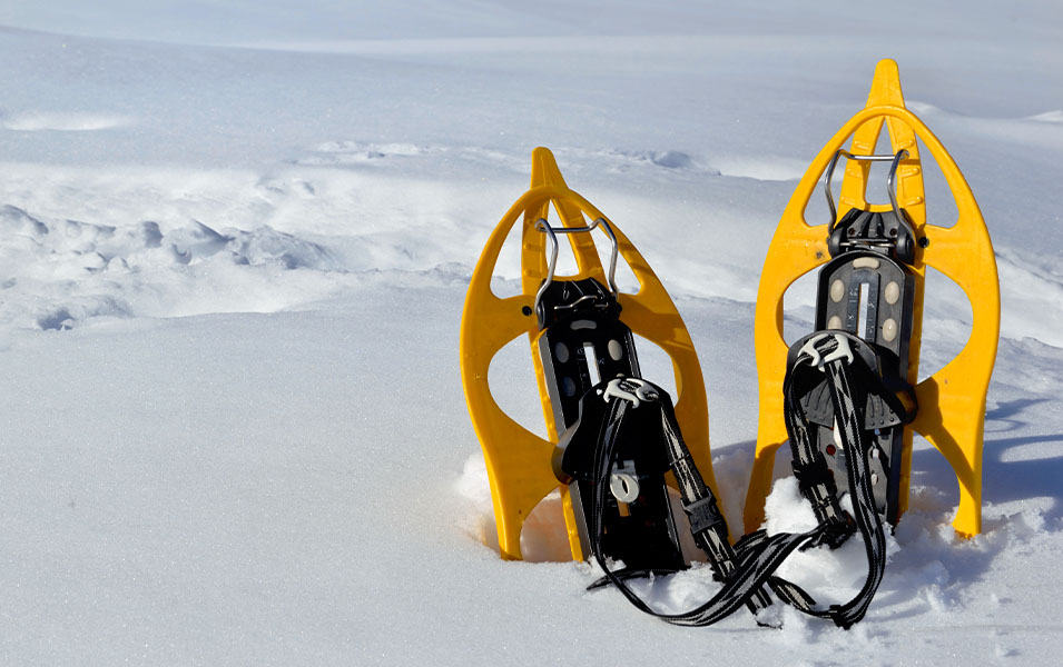 A pair of yellow snowshoes poke up out of the snow in a deep powder field. 
